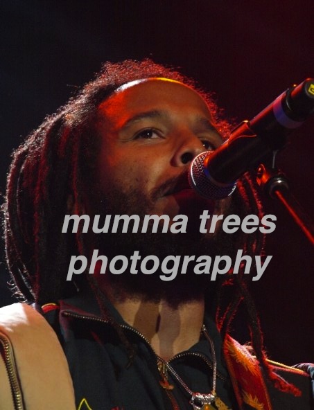 Ziggy Marley